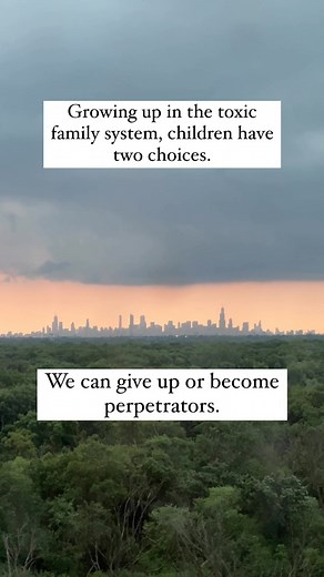 This is a heartbreaking quote from my mentor Amanda Curtin LICSW. In our work focusing on childhood trauma and the toxic family system, children have extremely limited choices. We can become aggressive and do what is modeled or we can give up and shut down. We see this play out in family roles with siblings and much work is to be done for either choice. Every child has their own strategy. What was yours? #childhoodtrauma #innerchild #toxicfamily #siblings Consider joining the monthly healing com