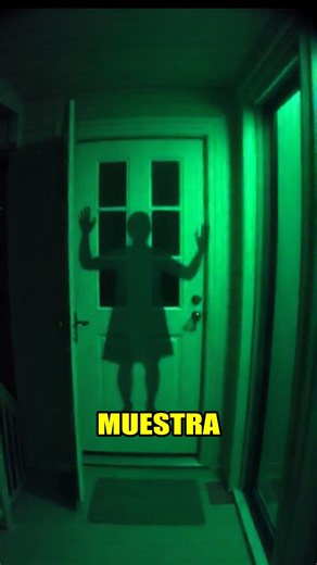 Gray Aliens: Doorbell Chamber 👽