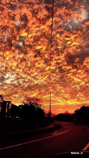 Beautiful Sunset 🌅 | Peaceful Nature & Relaxing Views | Nature