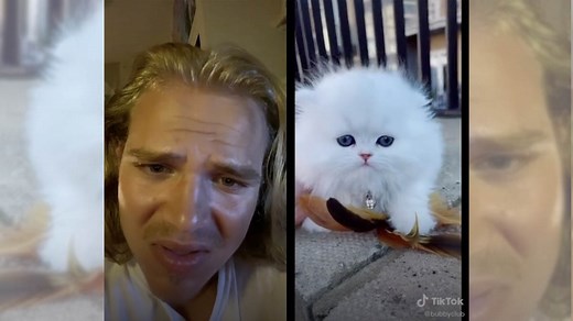 A Dubious Little Creature Getting Up To Mischief | Know Your Meme