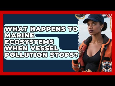 What Happens To Marine Ecosystems When Vessel Pollution Stops? - Maritime Defenders