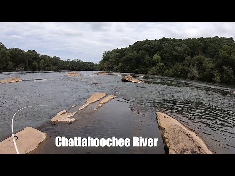 Shoal Bass Fishing on the Chattahoochee River (Atlanta, GA)