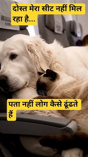 हवाई जहाज का सफर अपने दोस्त के साथ #shorts