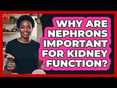 Why Are Nephrons Important For Kidney Function?
