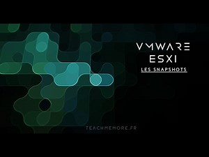 vmware esxi gestion des vms : comment faire des snapshots ou instantanés