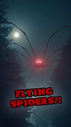 How Spiders Fly Without Wings – The Ballooning Trick Explained