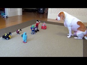 Dog vs. Robot Army: Cute Dog Maymo