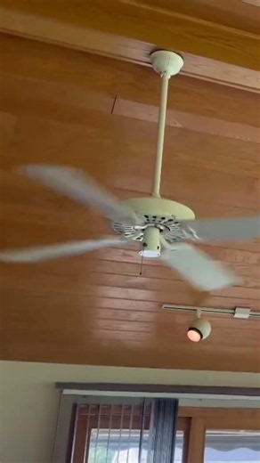 Hunter Original Ceiling Fans