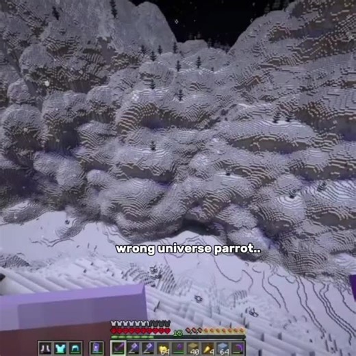 Dancing Parrots on TikTok: A Cute Showcase