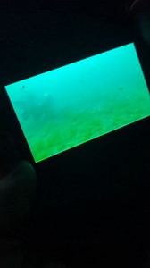 16K views · 870 reactions | ❤️ Look at these CHUNKS!  D A Y 1 -...