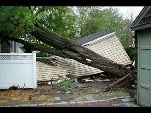 My Tree Fell and Caused Damage to My Neighbor’s Property: Who Pays?