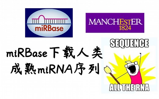 miRBase数据库下载人类成熟miRNA序列教程|小L聊科研