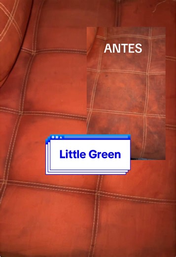 Me regalaron de Navidad, una hidro aspiradora y no sabe en el parote que me acaba de hacer para limpiar mi sillón 😂 Un año de mugre salió 🤢 Seguimos aprendiendo en este mundo señorial jajaja #señorashiava #hidroaspiradora #bissell #littlegreen