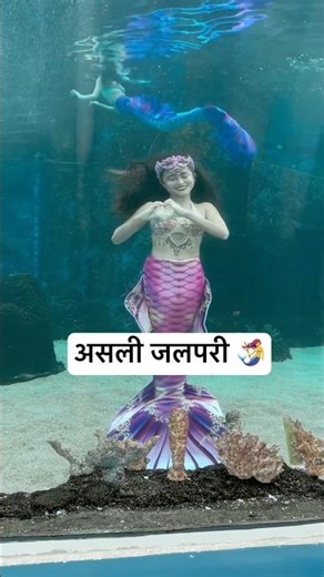 Real Jalpari | असली जलपरी🧜‍♀️ | Jalpari video raigarh