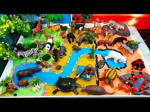 Aprende nombres de Carnívoros Herbívoros y Omnívoros-juguetes de animales para niños