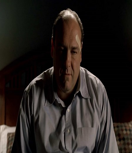 Where am I going? || #thesopranos #tonysoprano #corecore #edit #jamesgandolfini