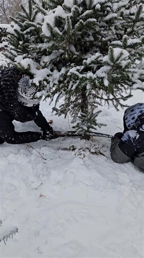 Mike Baines on Reels