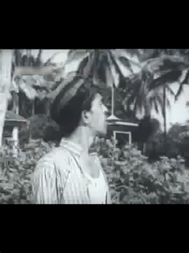 Discovering Mat Sentul Bus Stop Locations