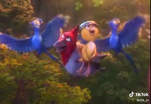 Rio Songs Compilation - Beautiful Creatures, Singing Birds, and More!