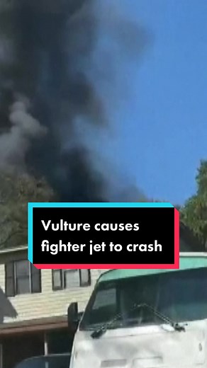 This is the moment a vulture caused a fighter jet to crash into houses on a training mission #fighterjet #crash