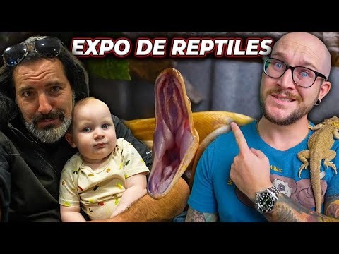 Vous n’allez pas croire ce qui s’est passé au salon des reptiles de Tinley Park