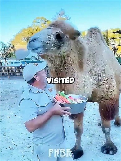 Last Day of a Zoo Caretaker 💔