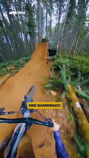 RECON | The story of Sharknado by @markymath 😎 | Instagram