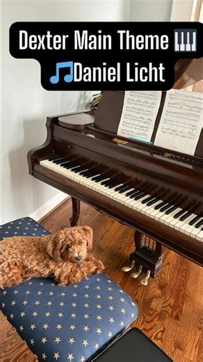 Dexter Main Theme : 🎵 Daniel Licht (piano)