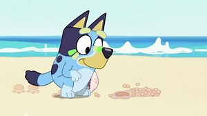 The Beach - Best of Bluey Series 1 - CBeebies