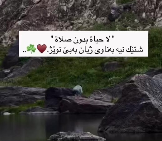 فيديوهات أنشأها 𐙚 (@d.l.l.a.0) باستخدام original sound - 𐙚