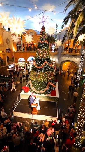✨🎄 The holidays have officially arrived at Tropicana Atlantic City! 🎄✨ Last week’s Tree Lighting Ceremony set the perfect tone for a season full of sparkle, celebration, and unforgettable moments. From festive prix fixe menus at your favorite restaurants, to holiday shopping in The Quarter, to the magical Polar Express at IMAX Theatre, Tropicana is ready to make every moment merry and bright 🌟 Our New Year’s Eve celebrations are gearing up to be the biggest and brightest yet 🥂✨ This holiday 