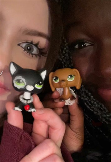 us #sarahgraceslps #LITTESTpetshop #lps #littlestpetshop @sarahgrace @sarahgrace