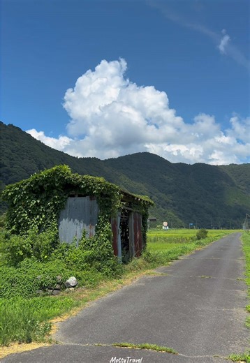自分でもどこで撮ったか分からないような、名もなき場所の夏景色が好き #japan #summer #travel #foryou | Japan