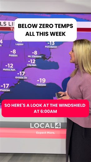 COLD IN THE D!🥶It’s already cold in Metro Detroit, and it’s only going to get colder. | WDIV Local 4 / ClickOnDetroit