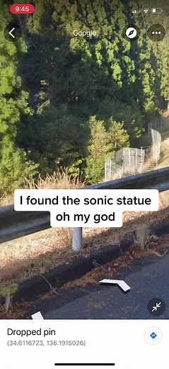 Discover the Mysterious Sonic Statue Location on Google Maps