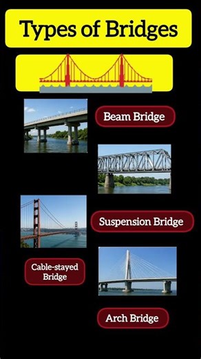 Do You Know These Bridge Types? 🤯 #civilengineering
