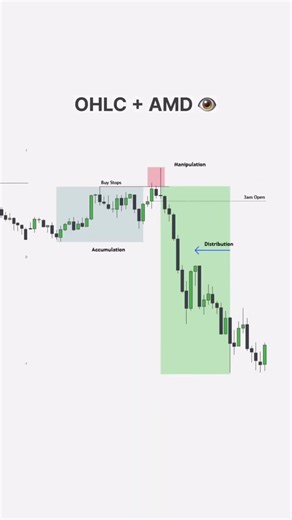 AMD Trading Strategy for Beginners | SMC Basics