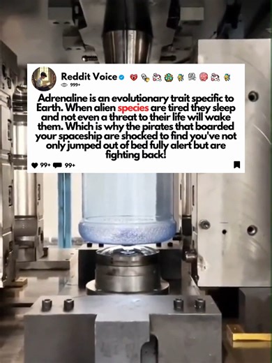 Adrenaline is an evolutionary trait specific to Earth. When alien species are tired they sleep and not even a threat to their life will wake them. Which is why the pirates that boarded your spaceship are shocked to find you've not only jumped out of bed fully alert but are fighting back! #redditstories #redditreadings #reddit #writing #redditstorytime #askreddit #usa