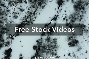 Snowy Videos, Download The BEST Free 4k Stock Video Footage & Snowy HD Video Clips