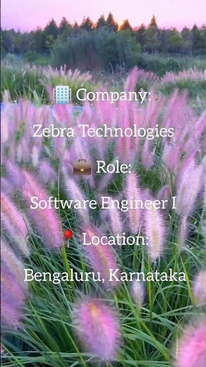 Zebra Technologies Hiring Software Engineer 🔥 ₹11 LPA | AI/ML Jobs | Apply Now