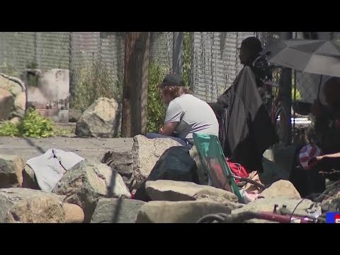 Sacramento County 2026 Point in Time count reveals increase in homelessness