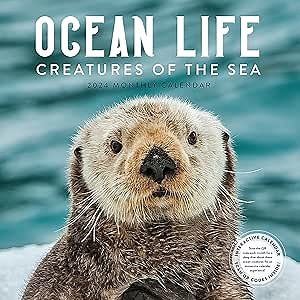 Ocean Life Calendar 2024 | 12" x 24" Animal Wall Calendar 16 Month| Marble City Press: Creatures of the Sea | Sea Turtle, Whales, Dolphin, Coral, Otter | With QR codes | 2023-2024 Calendar
