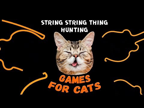 STRING STRING thing for cats | CAT GAMES on screen 🙀