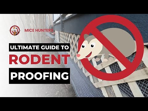 Ultimate Guide to Rodent Proofing: Keep Mice and Opossums Out of Your Deck!