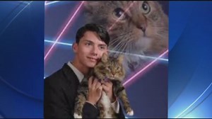 Teen in viral laser cat photo commits suicide