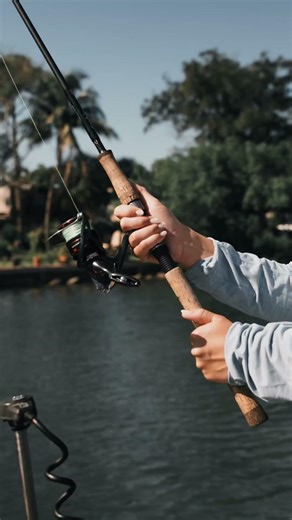 Affordable doesn’t have to feel cheap. The ELEMENT z2 proves that every day.