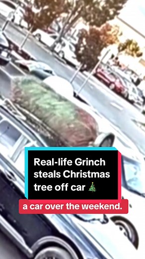 A real-life Grinch was captured on video stealing a Christmas tree from atop a car in San Mateo, California over the weekend.#california #grinch #news #christmastree #holidays