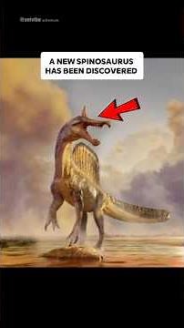 Scientists Just Discovered a New Spinosaurus