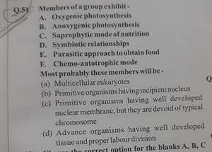 Q.51. Members of a group exhibit -A. Oxygenic photosynthesisB... | Filo