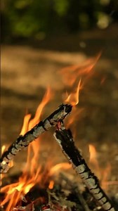 How To Start A Fire Without Matches 🔥